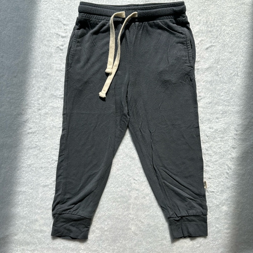 Baby Sprouts Pants - Blue/Gray - 2T